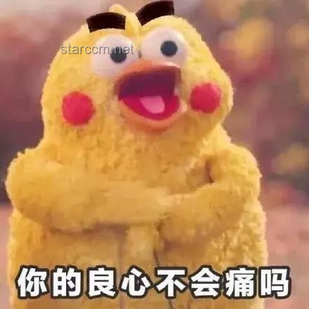 这就是缘分吗？果然莫名其妙——揭秘那些不可思议的相遇瞬间
